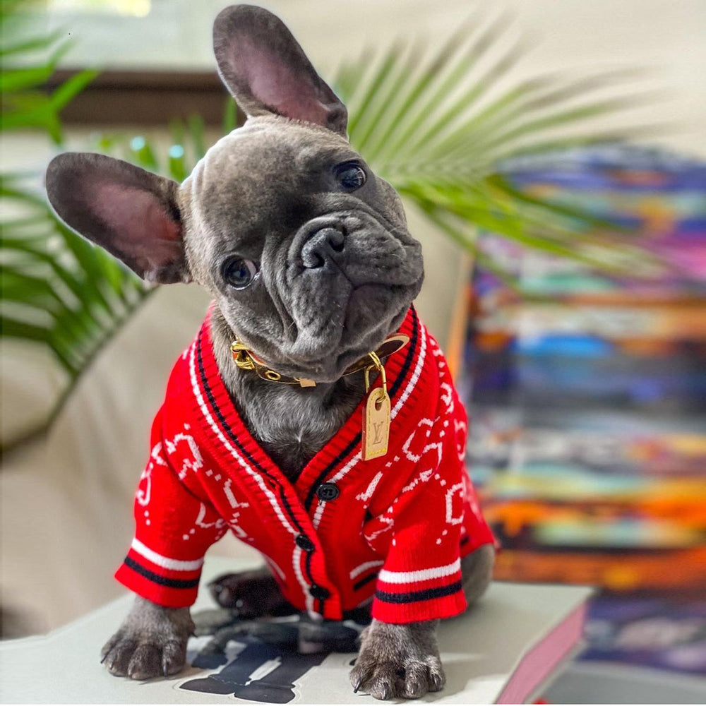 Frenchie Knit Fashion Winter Sweater - Red / S - Frenchie Complex Shop