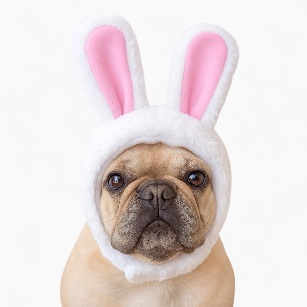 Frenchie Bunny Ear Hat – Halloween Soft Plush Costume Cap - White / M - Frenchie Complex Shop