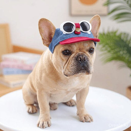 Funny Sunglasses French Bulldog Cap