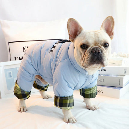 Good Luck French Bulldog Jacket - Light Blue / S number - Frenchie Complex Shop