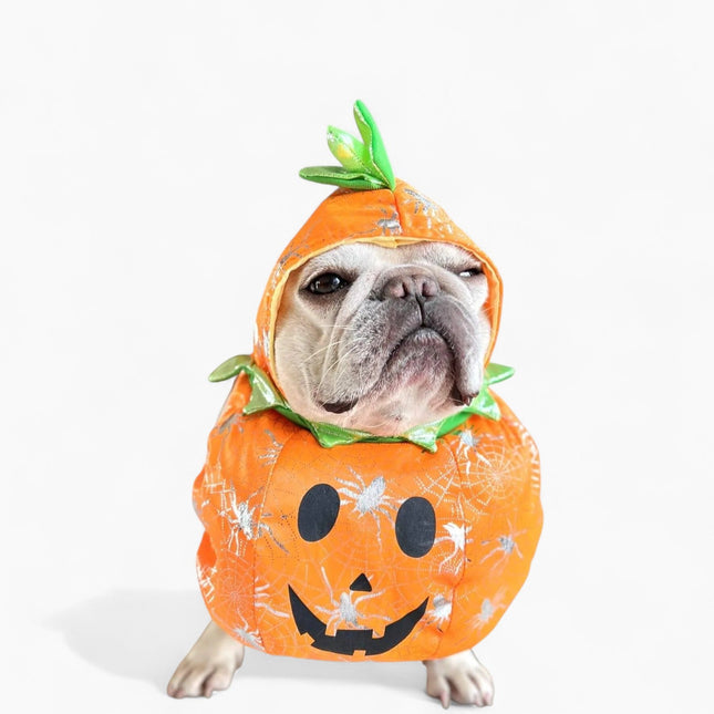 Halloween Frenchie Pumpkin Costume - Orange / S - Frenchie Complex Shop
