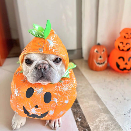 Halloween Frenchie Pumpkin Costume - Orange / S - Frenchie Complex Shop