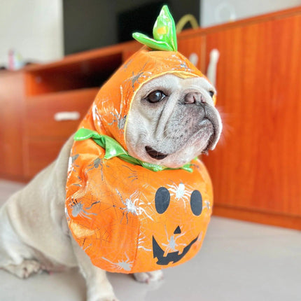 Halloween Frenchie Pumpkin Costume - Orange / S - Frenchie Complex Shop