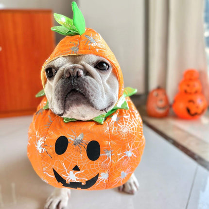Halloween Frenchie Pumpkin Costume - Orange / S - Frenchie Complex Shop