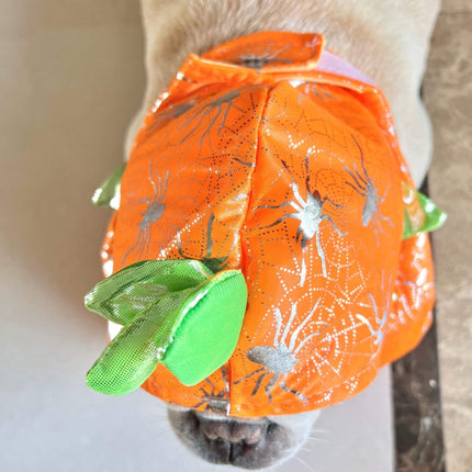 Halloween Frenchie Pumpkin Costume - Orange / S - Frenchie Complex Shop