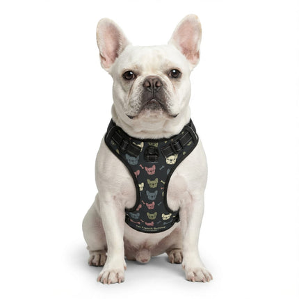 I'm French Bulldog Harness by Frenchie Complex™ - Black / S - Frenchie Complex Shop