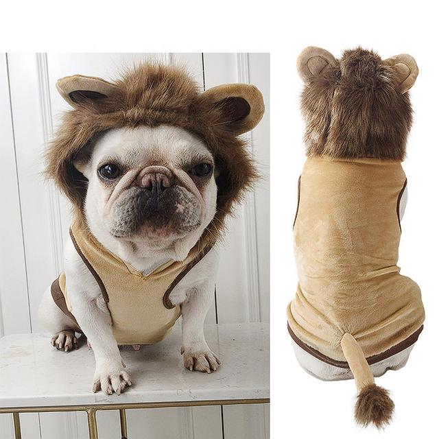 French bulldog lion costume hotsell