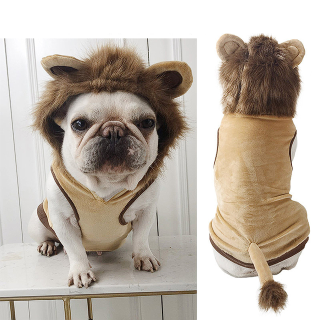 Lion French Bulldog Costume - Frenchie Complex Shop