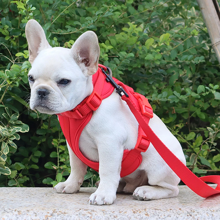 Luxury French Bulldog Harnesses - Frenchie Complex Shop