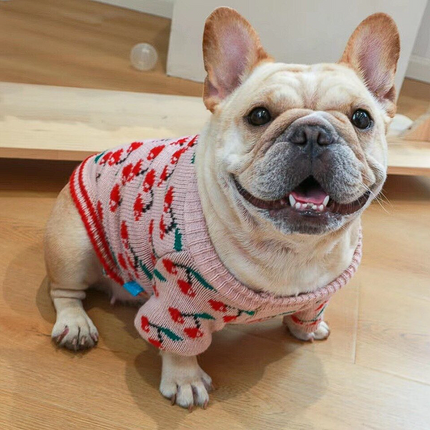 Mon Chéri French Bulldog Sweatshirt - Pink / XS - Frenchie Complex Shop
