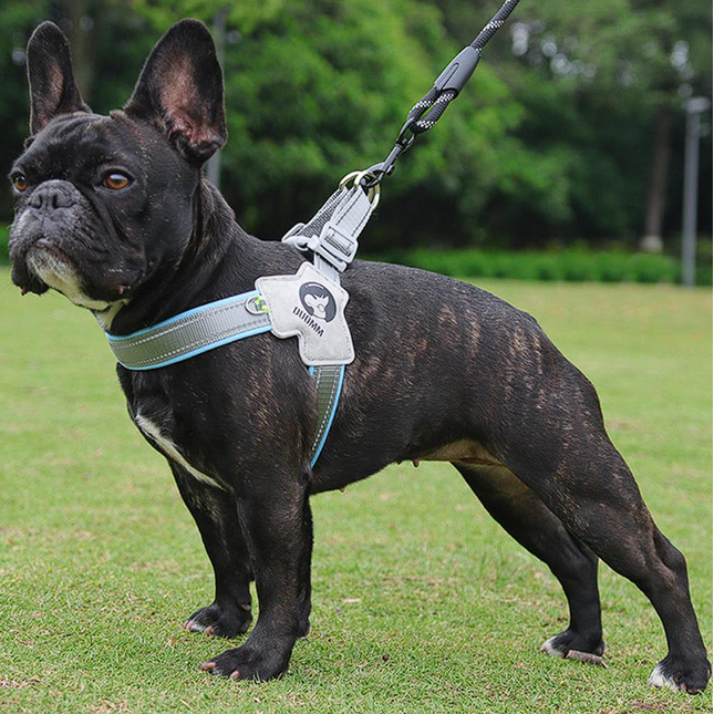 New French Bulldog Harnesses - Red / S - Frenchie Complex Shop