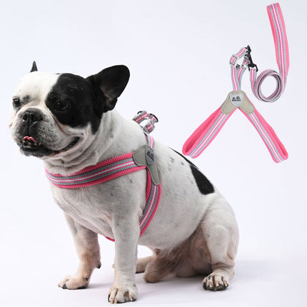 No-Pull Frenchie Harness with Leash - Red / S - Frenchie Complex Shop