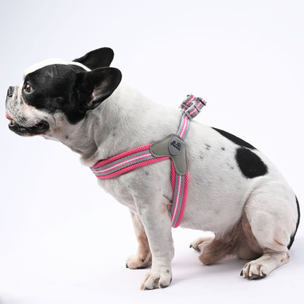 No-Pull Frenchie Harness with Leash - Red / S - Frenchie Complex Shop
