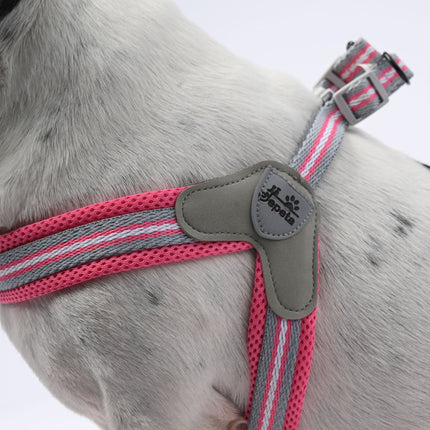 No-Pull Frenchie Harness with Leash - Red / S - Frenchie Complex Shop