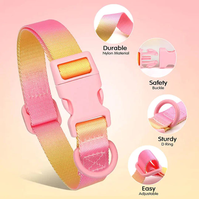 Nylon French Bulldog Collar - Pink / S - Frenchie Complex Shop