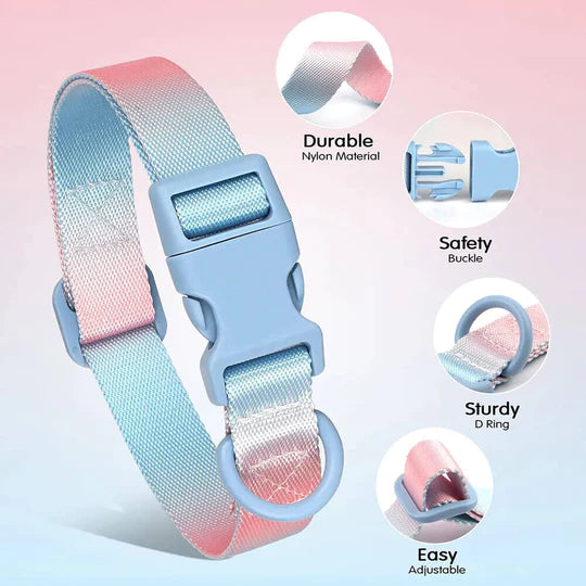Nylon French Bulldog Collar - Sky Blue / S - Frenchie Complex Shop
