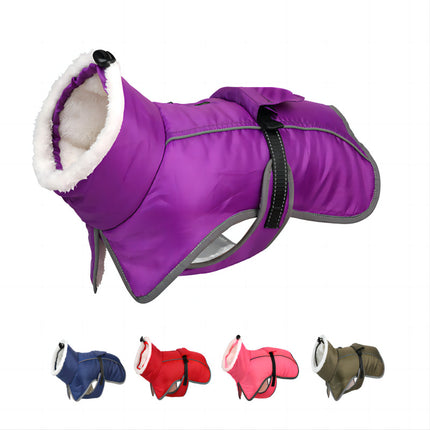 French Bulldog Reflective Coat - Purple / S - Frenchie Complex Shop