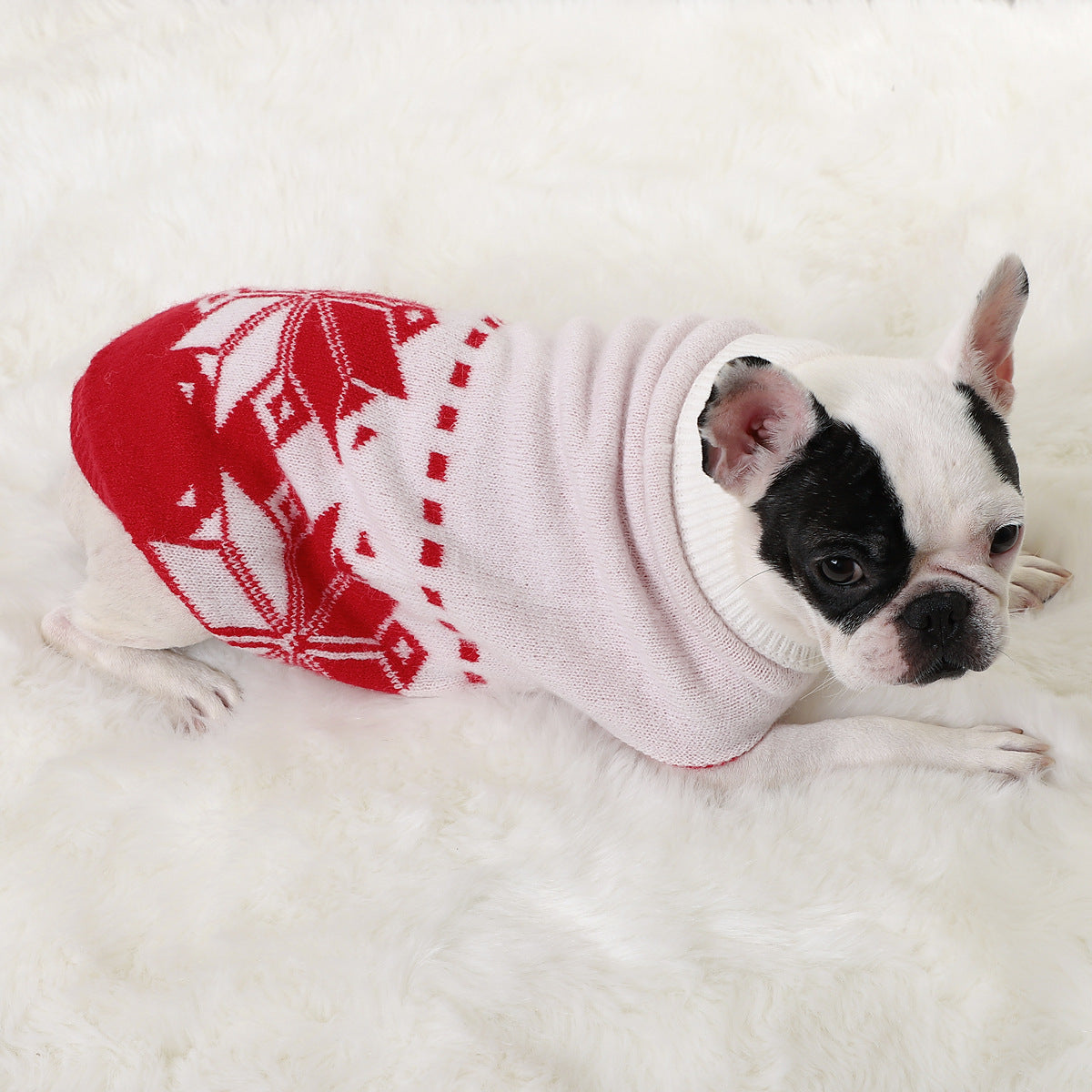 Winter Spirit French Bulldog Sweater - S / Red - Frenchie Complex Shop