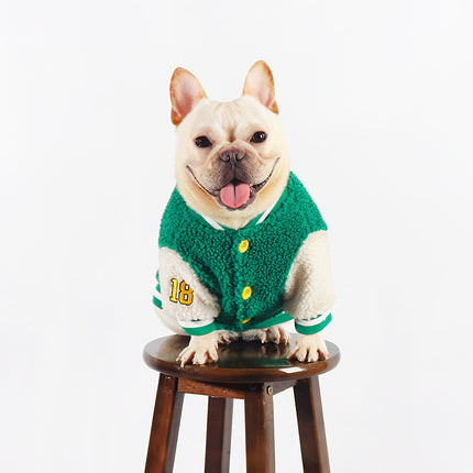 Baseball French Bulldog Sweater Jacket - Green / L - Frenchie Complex Shop