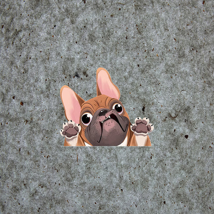 French Bulldog Car Stickers - 3 - Frenchie Complex Shop
