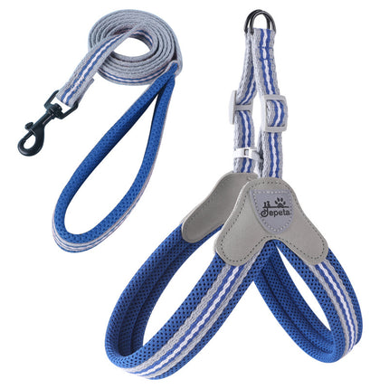 No-Pull Frenchie Harness with Leash - Dark blue / S - Frenchie Complex Shop