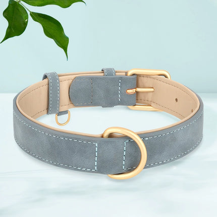Elegant French Bulldog Collars - Sky Blue / S - Frenchie Complex Shop