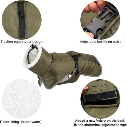 French Bulldog Reflective Coat - Purple / S - Frenchie Complex Shop