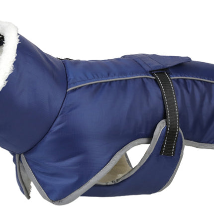 French Bulldog Reflective Coat - Blue / S - Frenchie Complex Shop