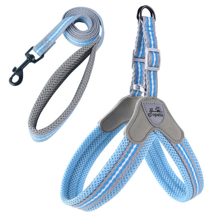 No-Pull Frenchie Harness with Leash - Sky blue / S - Frenchie Complex Shop