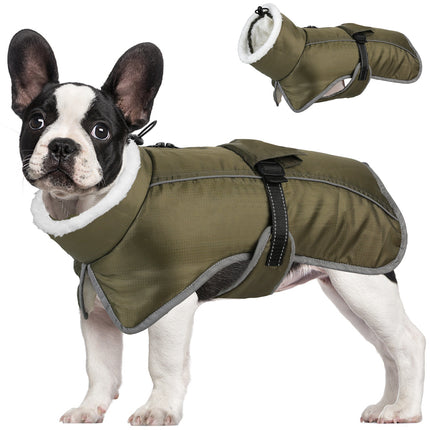 French Bulldog Reflective Coat - Purple / S - Frenchie Complex Shop