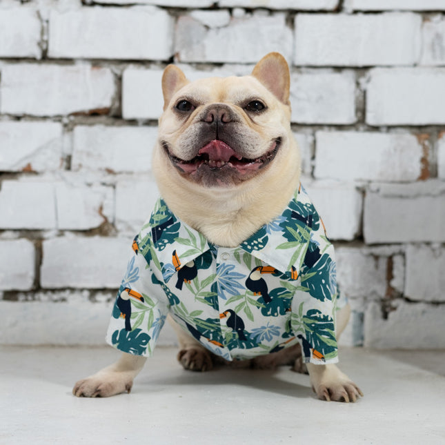 Flower Hawaiian French Bulldog Shirt - Frenchie Complex Shop