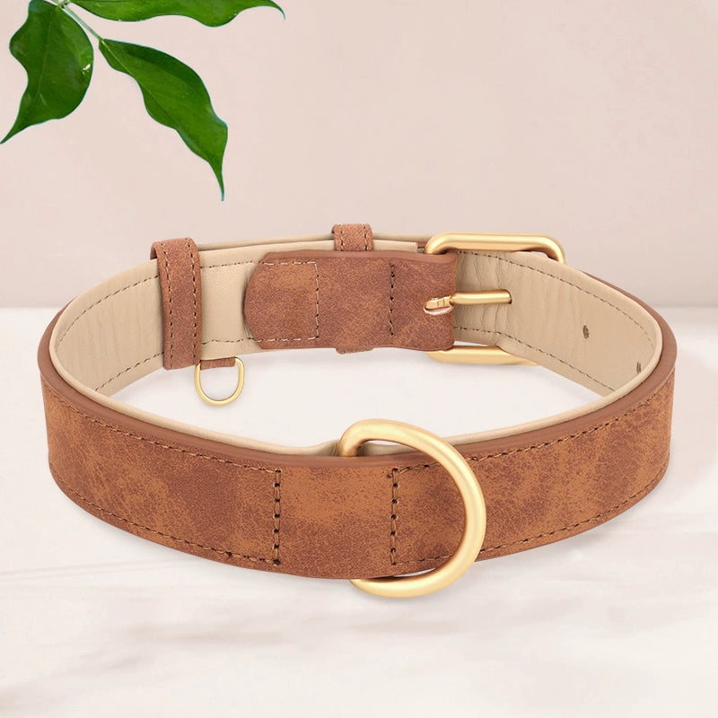 Elegant French Bulldog Collars - Brown / S - Frenchie Complex Shop