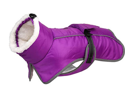 French Bulldog Reflective Coat - Purple / S - Frenchie Complex Shop