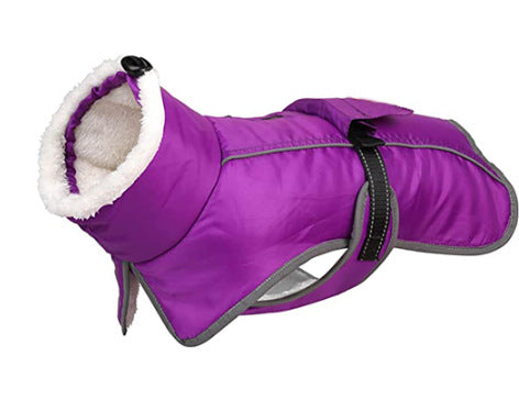 French Bulldog Reflective Coat - Purple / S - Frenchie Complex Shop