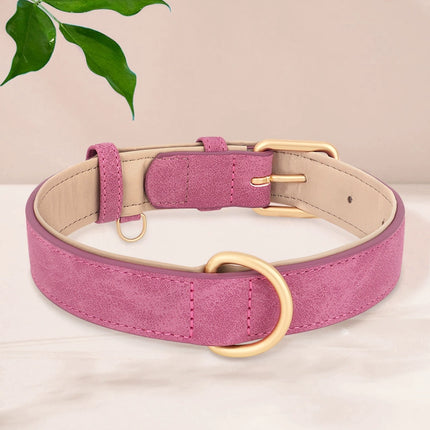 Elegant French Bulldog Collars - Frenchie Complex Shop