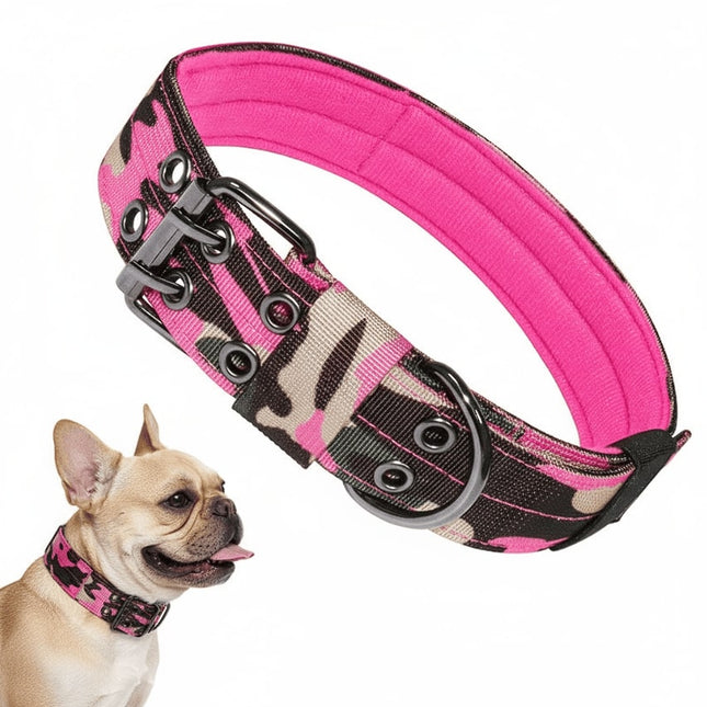 Outdoor French Bulldog Collars - Pink 2 / M - Frenchie Complex Shop