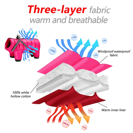 Outdoor Warm French Bulldog Jacket - Blue / No. 10 - Frenchie Complex Shop