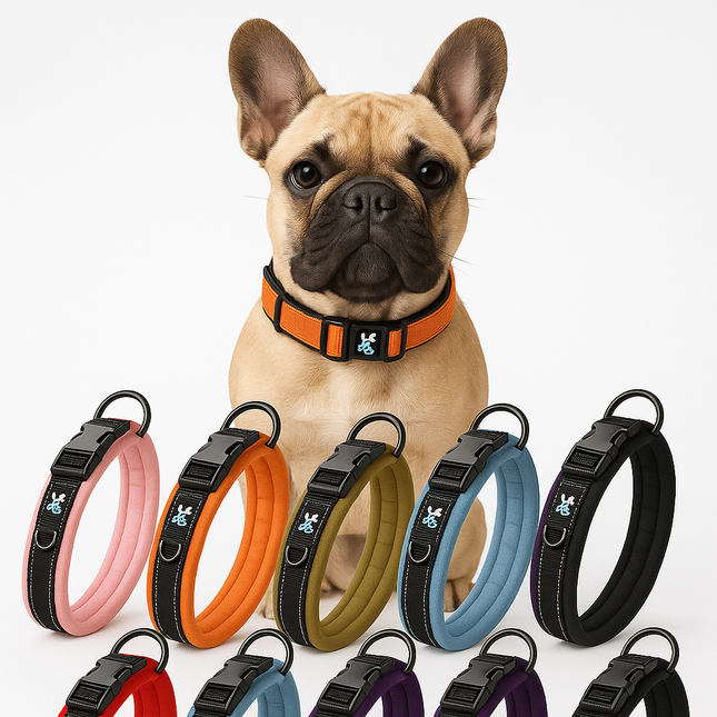 Reflective French Bulldog Collar - Pink / S - Frenchie Complex Shop