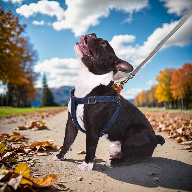 Reflective French Bulldog Harness - Brown / XS - Frenchie Complex Shop