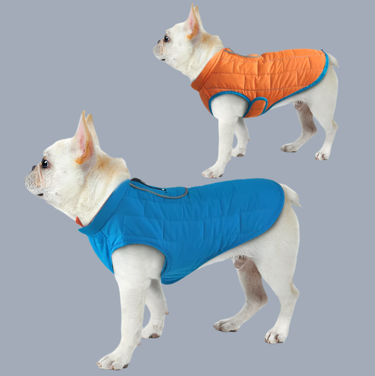 Reversible Jacket for French Bulldog - Frenchie Complex Shop