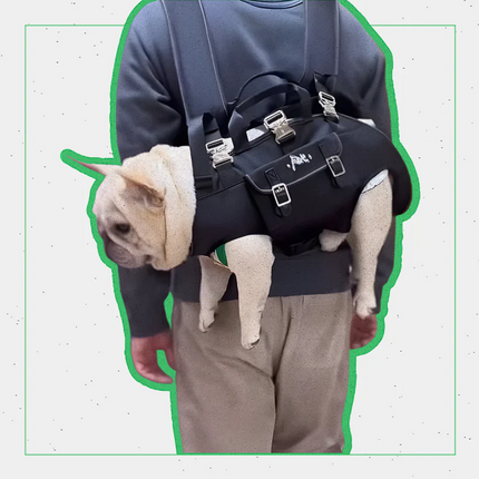 Shoulder French Bulldog Carrier - S - Frenchie Complex Shop