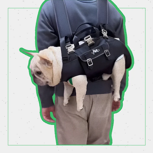 Shoulder French Bulldog Carrier - S - Frenchie Complex Shop