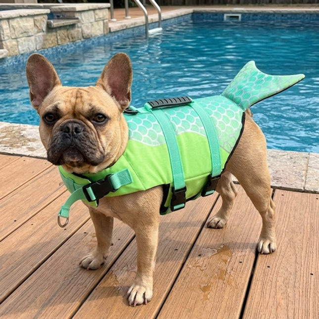 Summer Frenchie Life Jacket - Green / XS - Frenchie Complex Shop