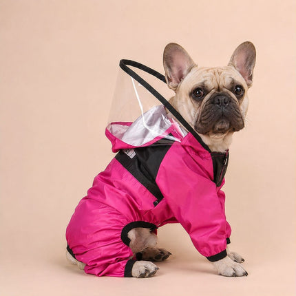 The Dog Face Raincoat