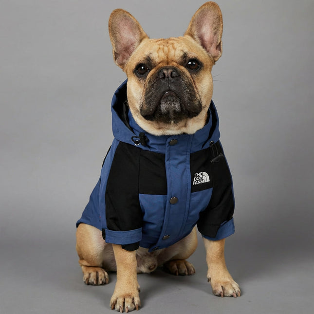The Dog Fans Jacket - Blue / S - Frenchie Complex Shop