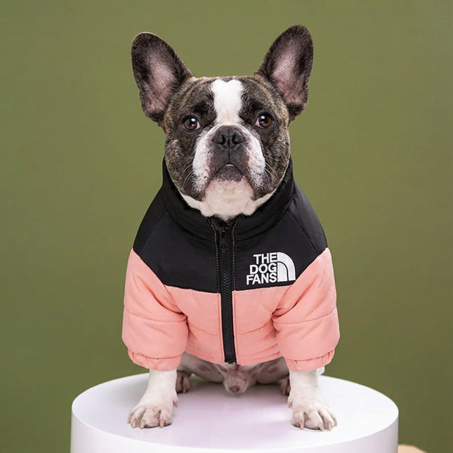 The Dog Fans Jacket - Classic Edition - Pink / S - Frenchie Complex Shop