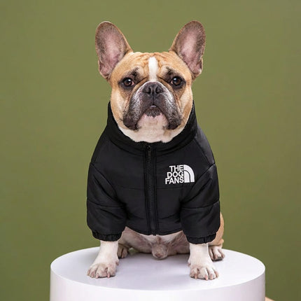 The Dog Fans Jacket - Classic Edition - Black / S - Frenchie Complex Shop