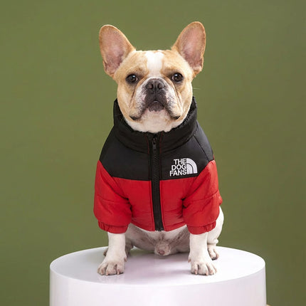 The Dog Fans Jacket - Classic Edition - Red / S - Frenchie Complex Shop