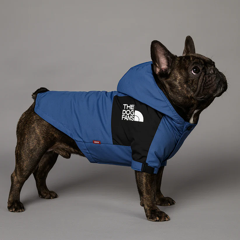 The Dog Fans Jacket - Blue / S - Frenchie Complex Shop