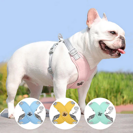Ultra French Bulldog Harnesses - Frenchie Complex Shop